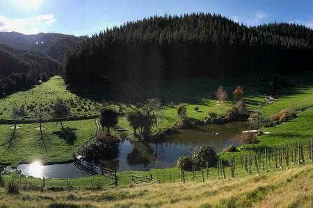 Castello Di Vino Διαμέρισμα Μπλένχαϊμ Εξωτερικό φωτογραφία